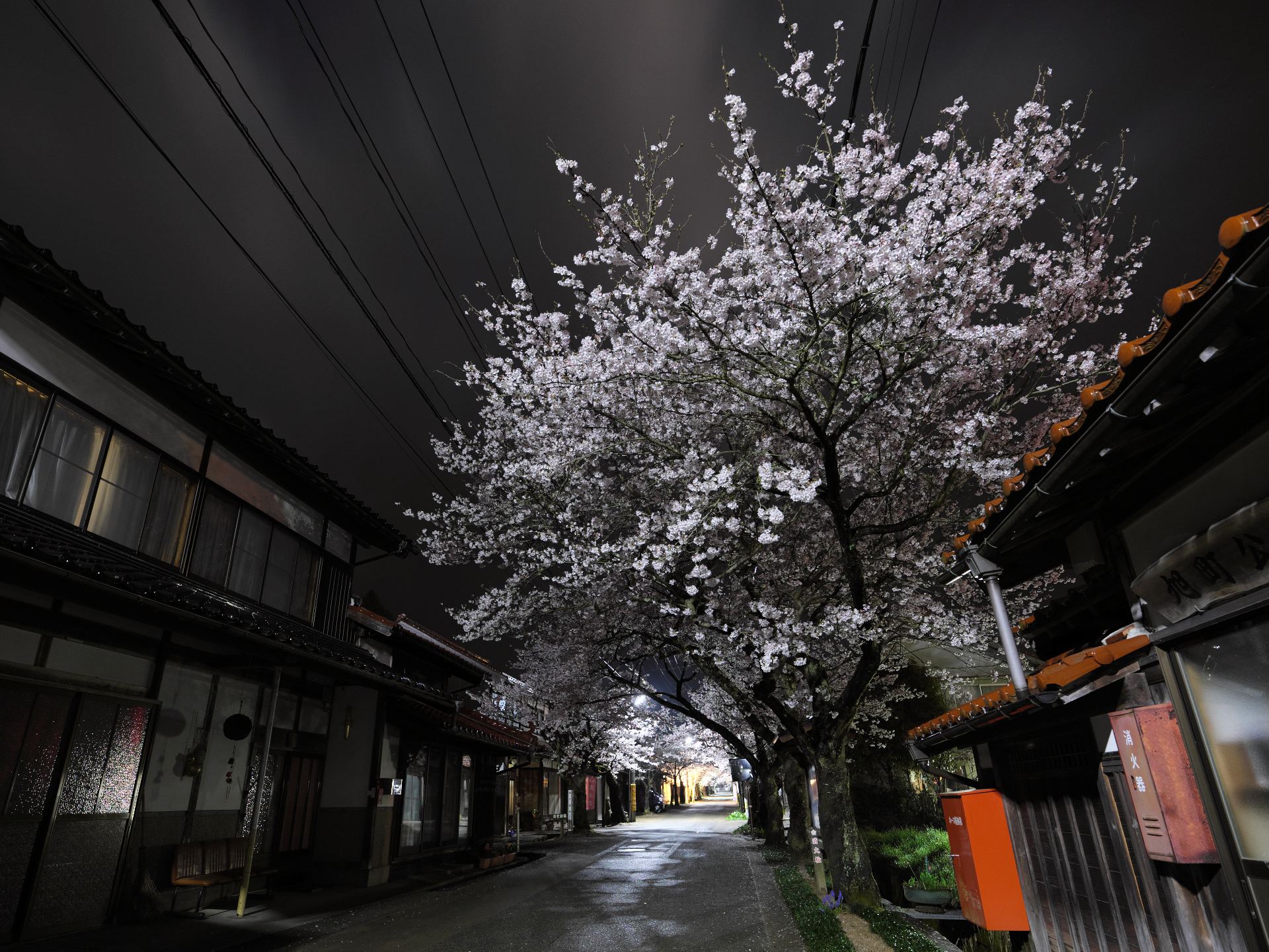 2023年4月　GFXで撮る「岡山の夜桜」