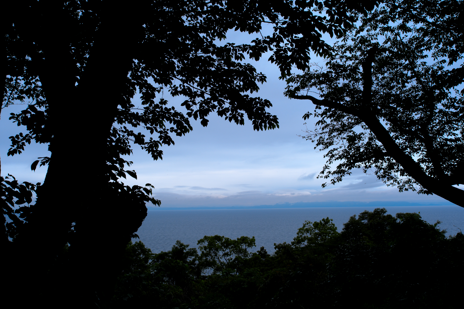 2025年5月6日 αで撮る「ﾓﾉﾄｰﾝ」