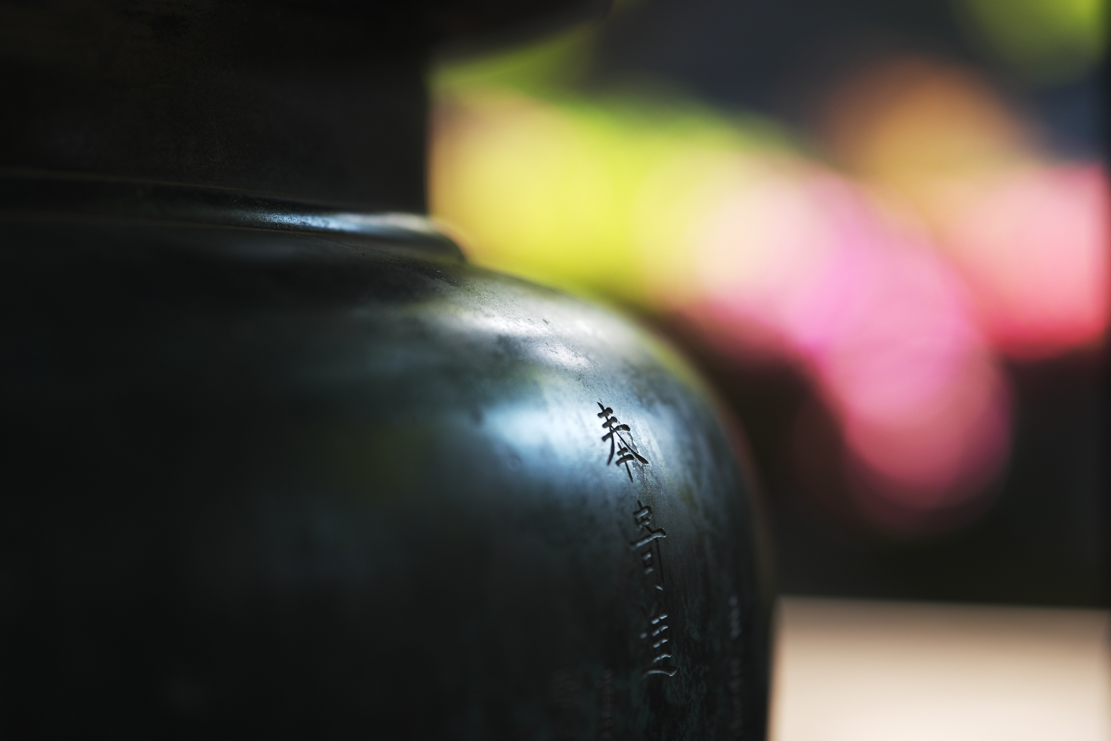 2025年4月29日 D850で撮る「105F1.4の威力」