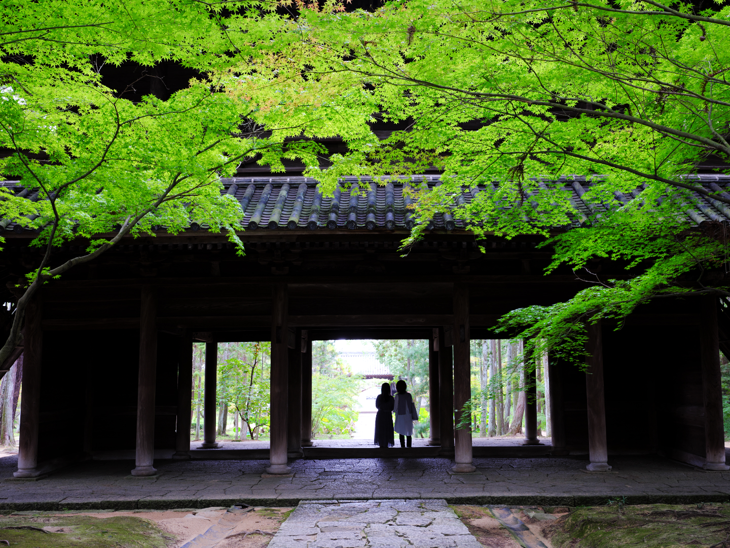 2025年10月5日 GFXで撮る「前撮り」