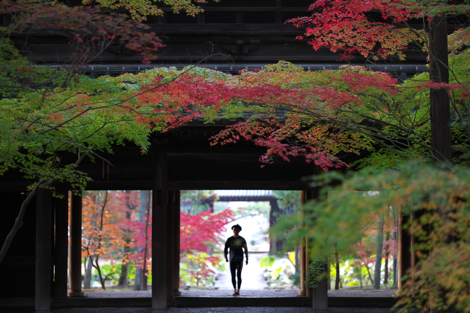 2025年11月15日 αで撮る「歩み」