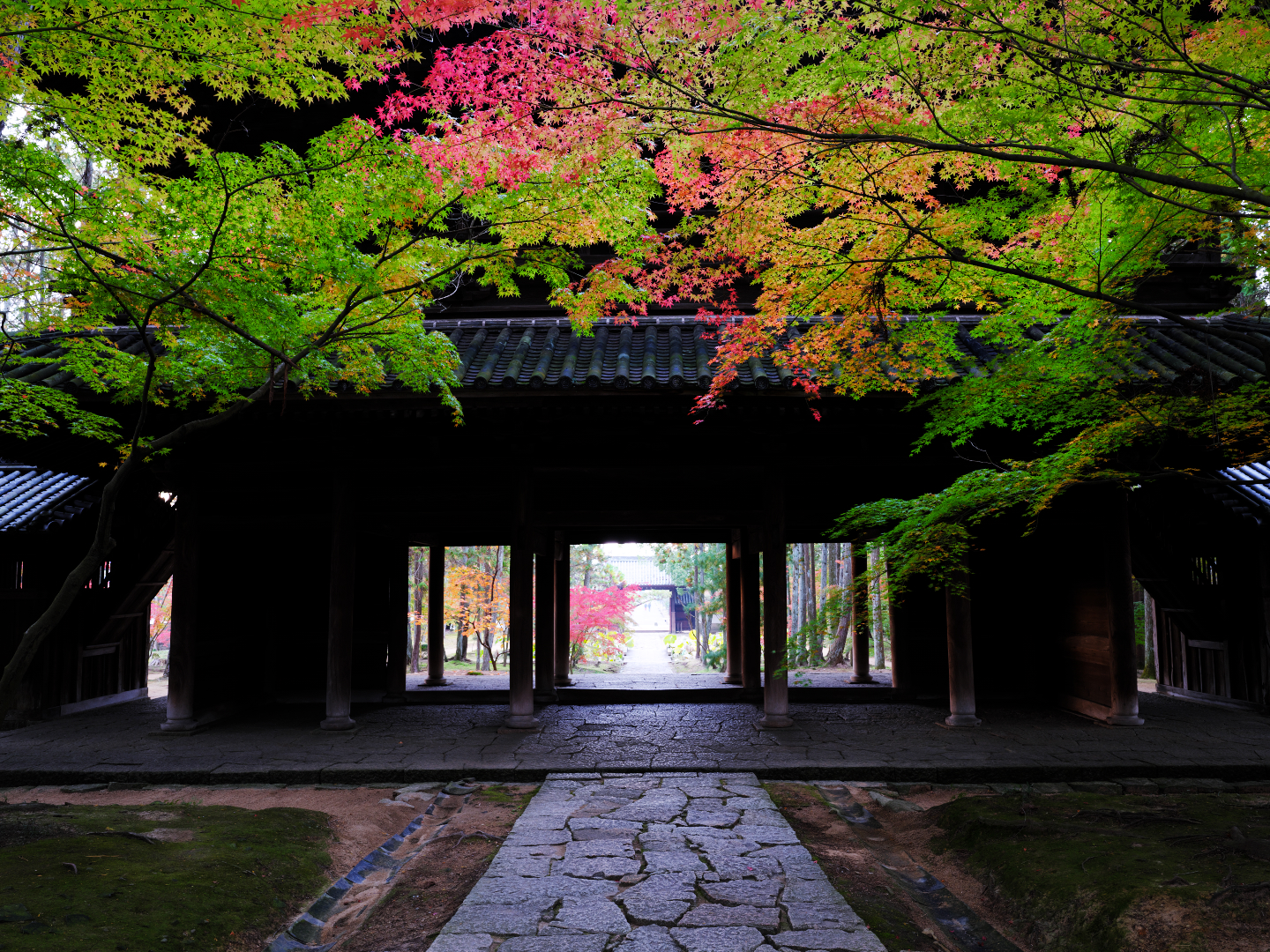 2025年11月15日 GFXで撮る「山門」
