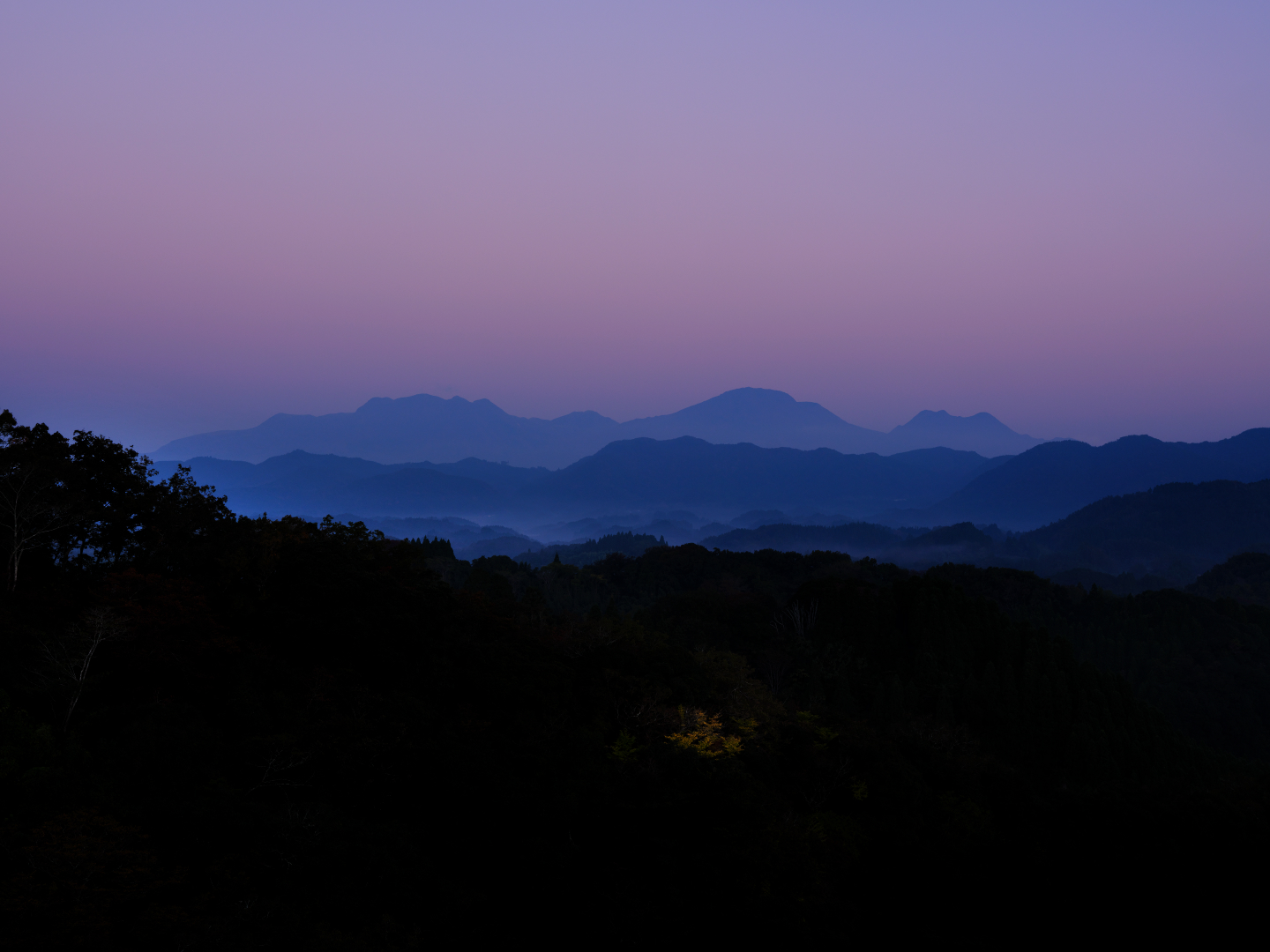 2025年11月9日 GFXで撮る「早朝」