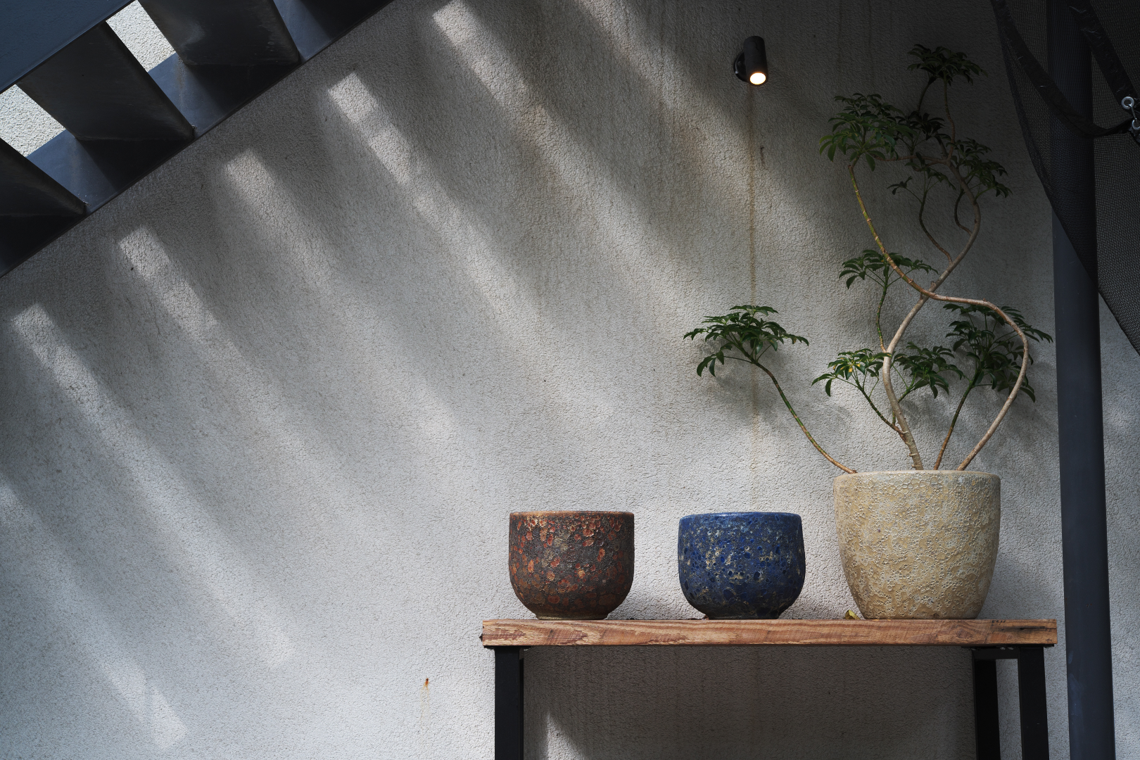 2025年11月2日 Zで撮る「チェック」