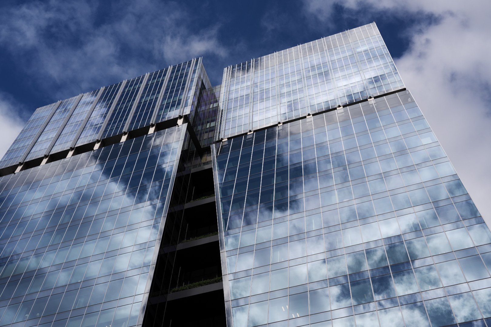 2025年11月3日 Zで撮る「格子」