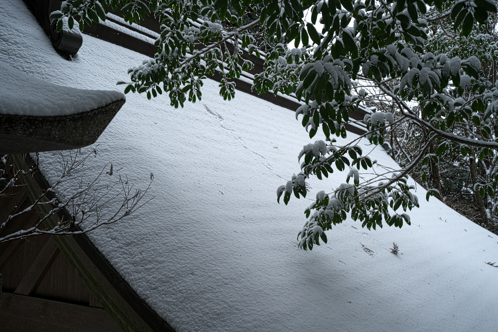 2026年1月11日 αで撮る「雪の階段」