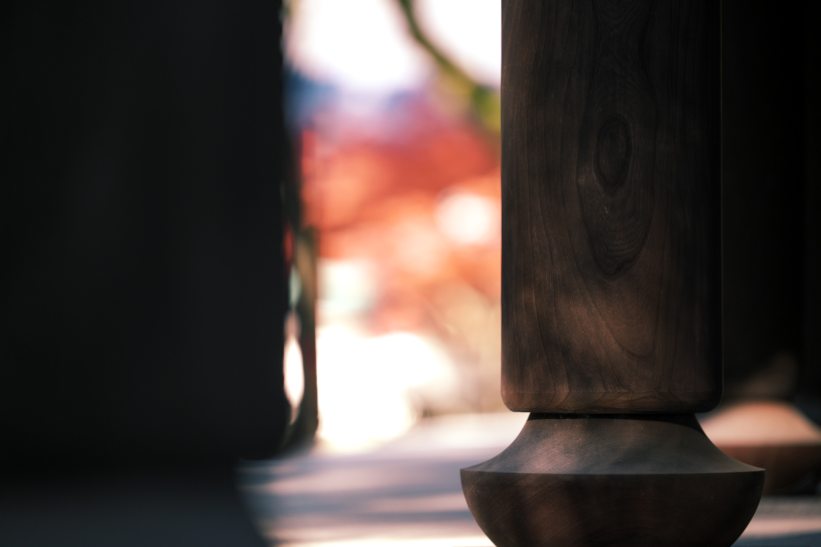 2025年12月6日 αで撮る「紅葉」