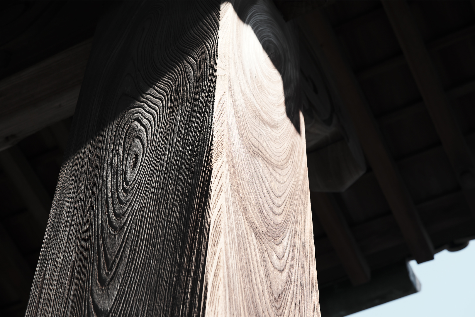 2025年12月20日 Xで撮る「寺」