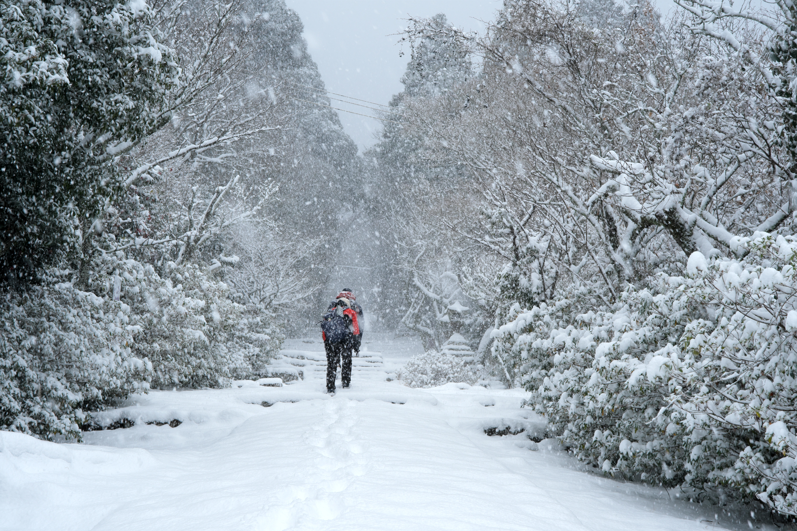 2026年1月2日 Xで撮る「大雪の正月」