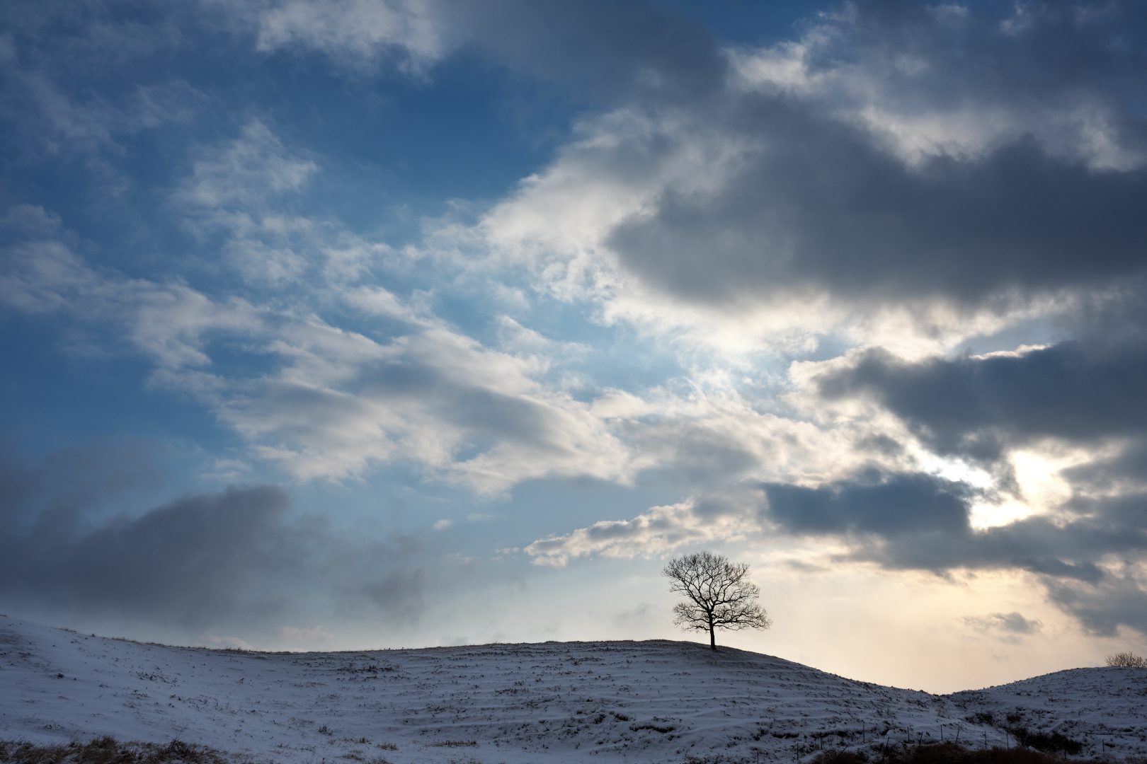 2026年1月24日 Zで撮る「いつものところ」