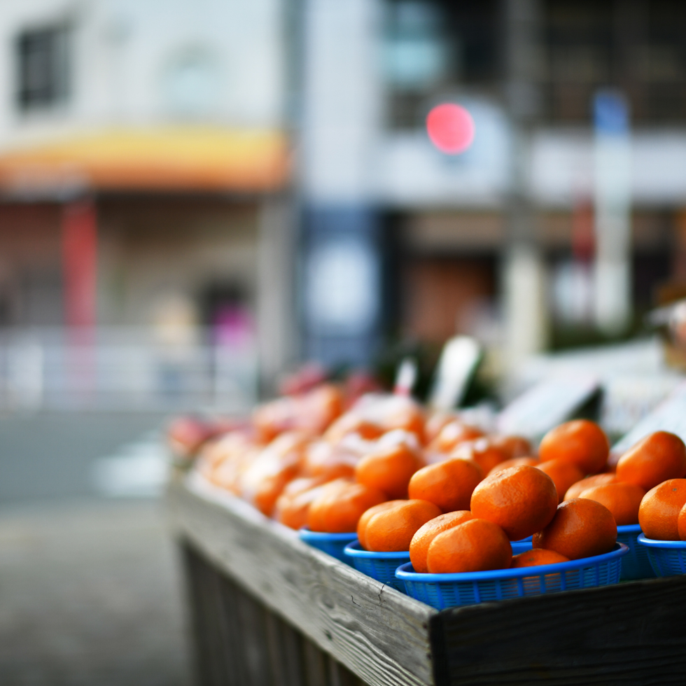 2026年1月17日 D850で撮る「兄弟」