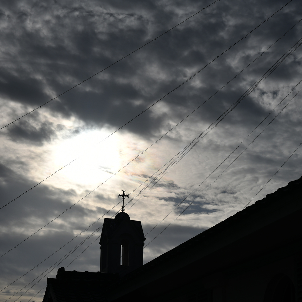 2026年1月18日 D850で撮る「クルス」