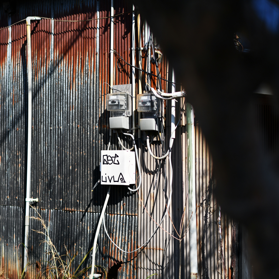 2026年1月25日 D850で撮る「昭和」