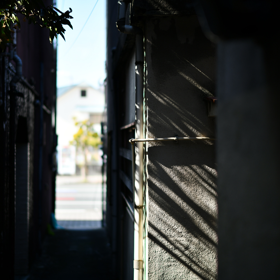 2026年1月25日 D850で撮る「昭和」